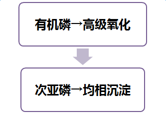 高濃度有機磷廢水如何處理|技術(shù)文檔-山東環(huán)瑞生態(tài)科技有限公司